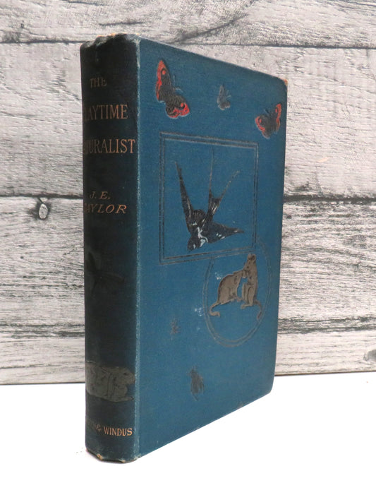 The Playtime Naturalist By Dr. J. E. Taylor 1889