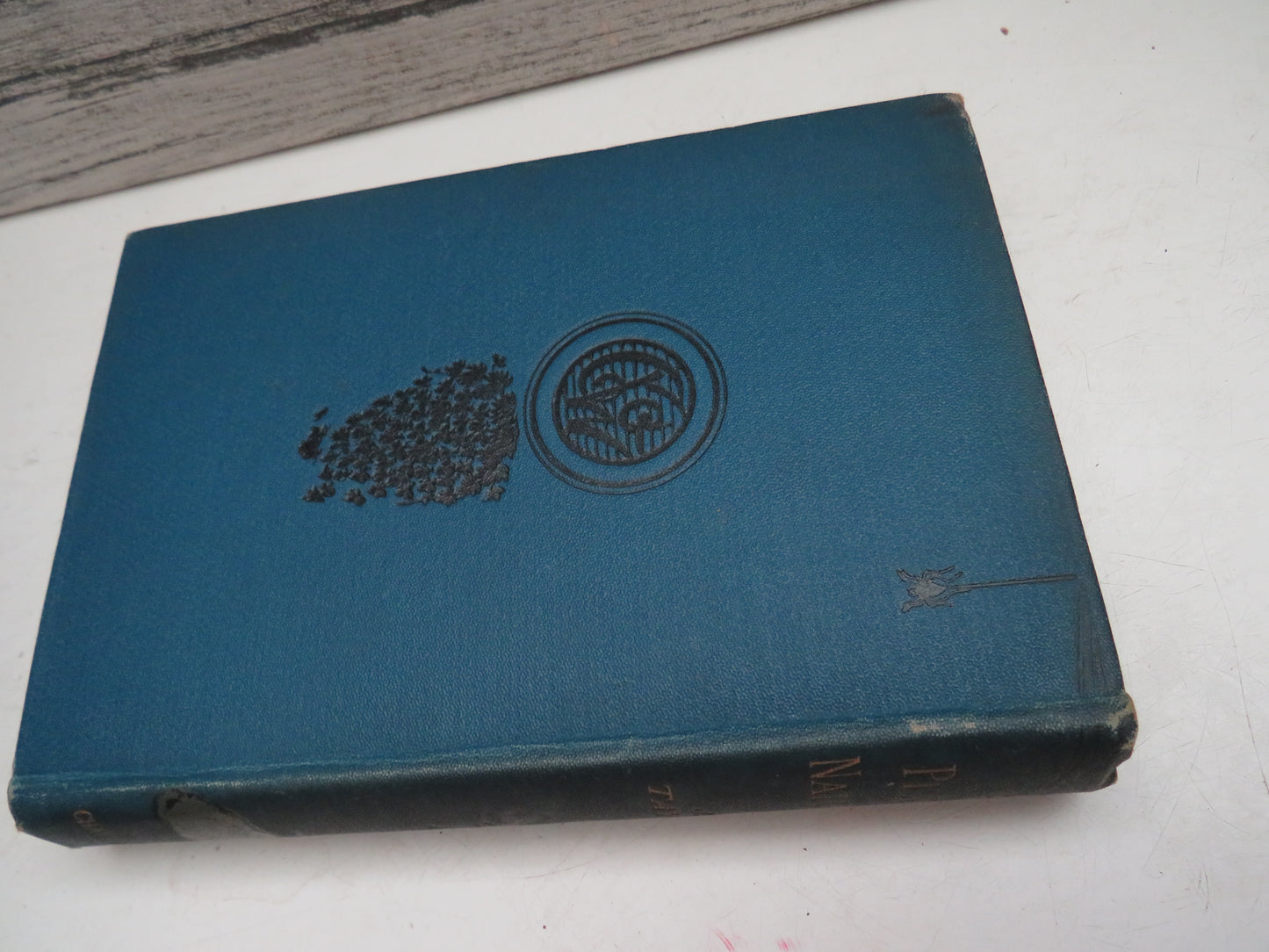 The Playtime Naturalist By Dr. J. E. Taylor 1889