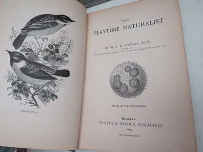 The Playtime Naturalist By Dr. J. E. Taylor 1889