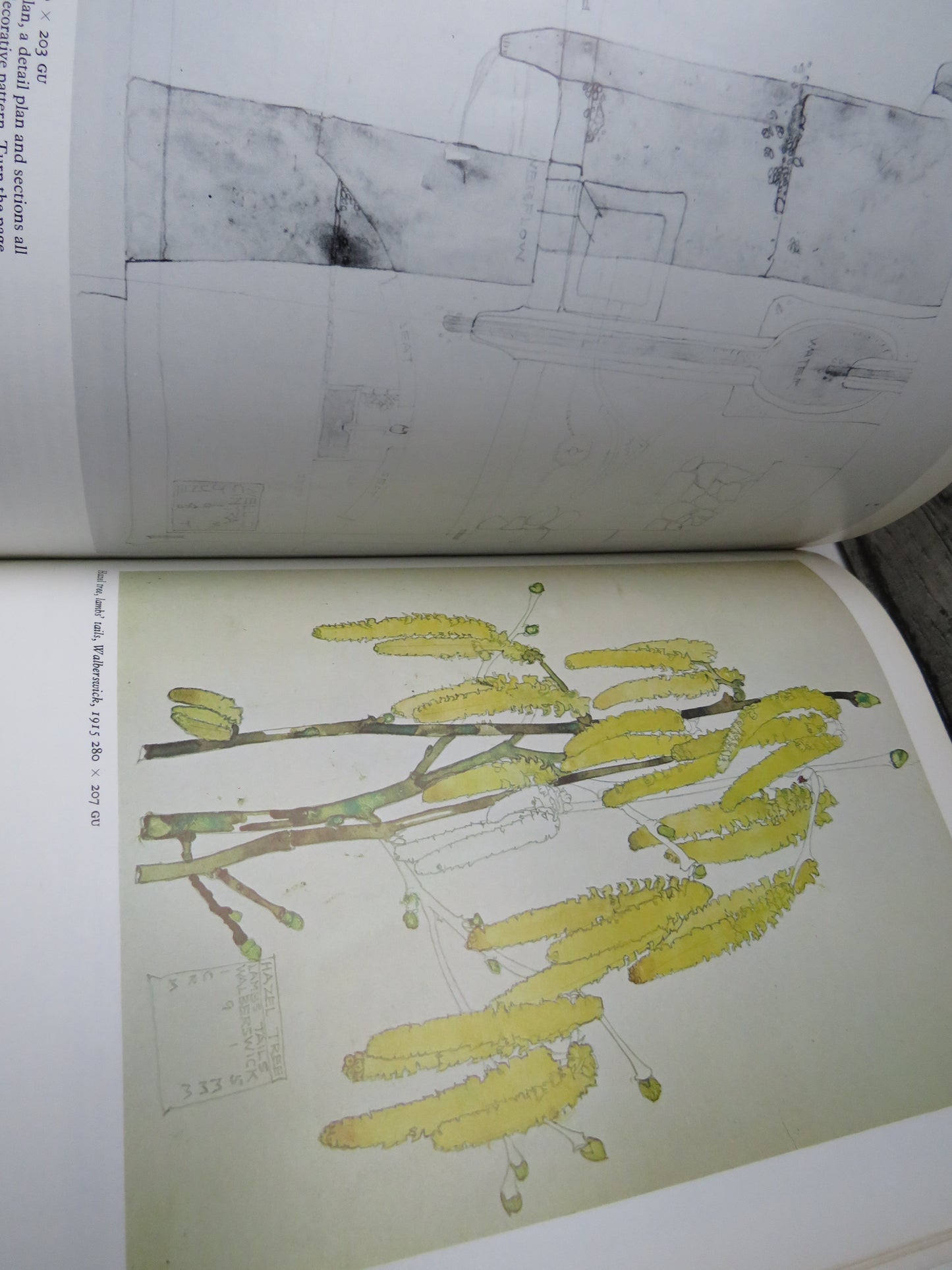 Architectural Sketches & Flower Drawings By Charles Rennie Mackintosh By Roger Billcliffe 1977