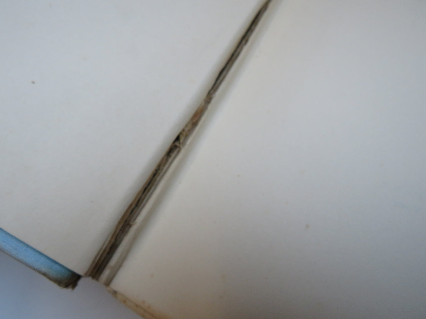 The West Indies Painted By A.S. Forrest Described By John Henderson 1905