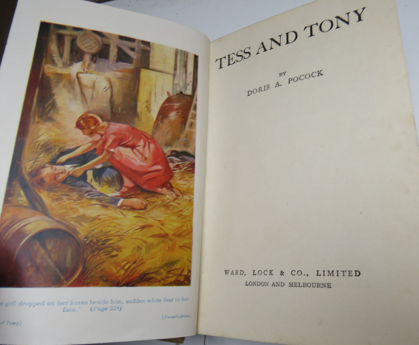 Tess and Tony by Doris Pocock Ward, Lock & Co