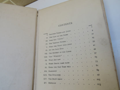 Hunted, and the Hunter By E.E. Cowper book image 5