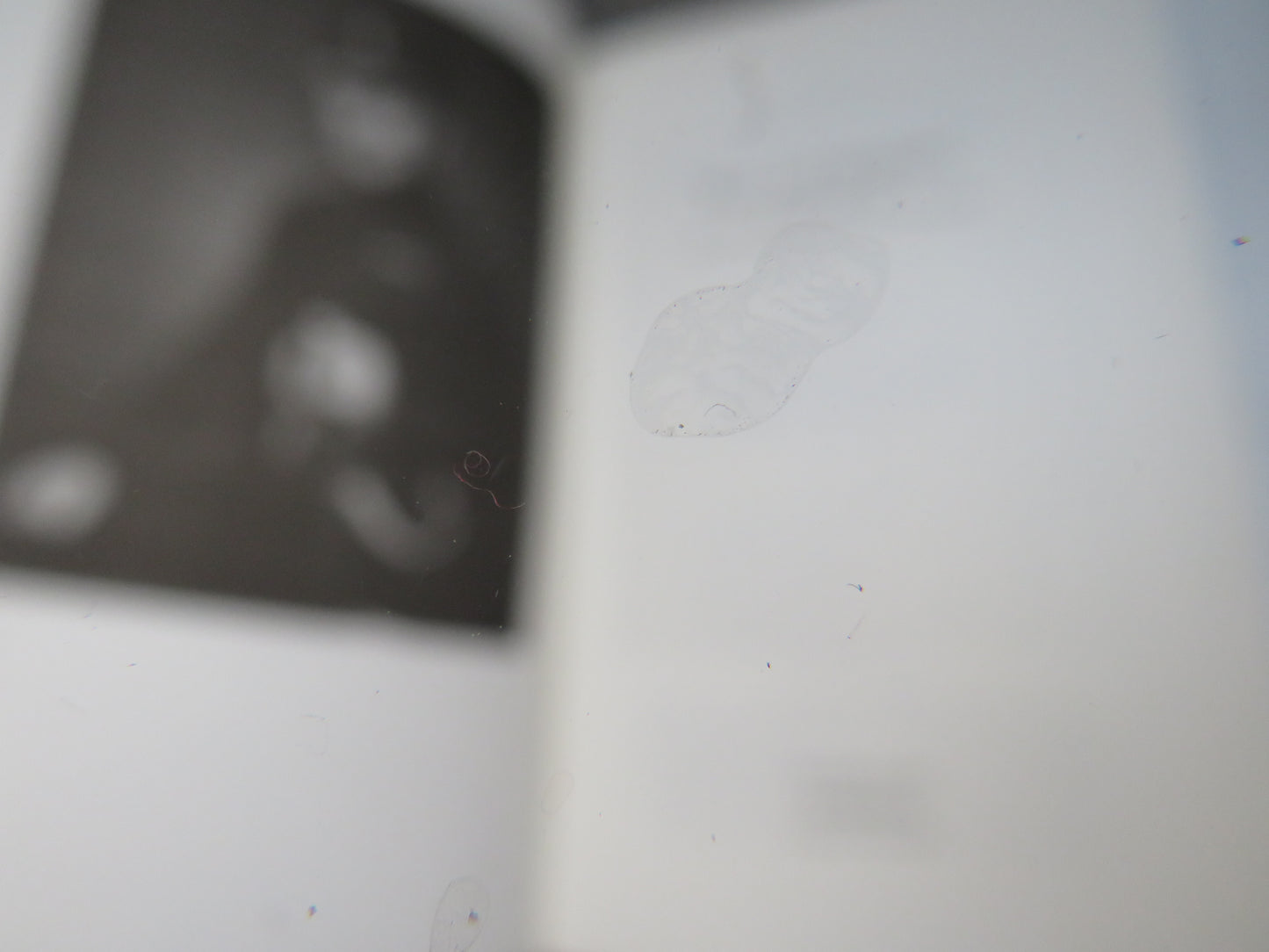 Wars and Shadows Memoirs of General Sir David Fraser 2002