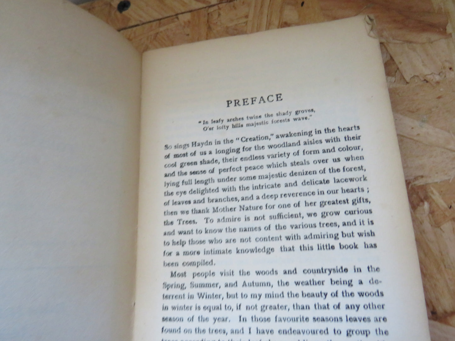 British Trees and How To Name Them At A Glance, Without Botany By Forster Robson