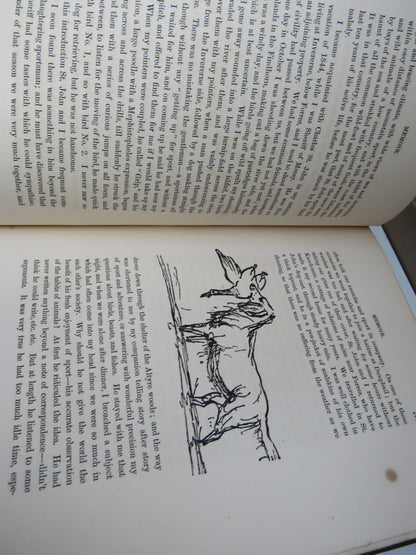 Natural History & Sport In Moray By Charles St. John 1882 Antique Book book image 5