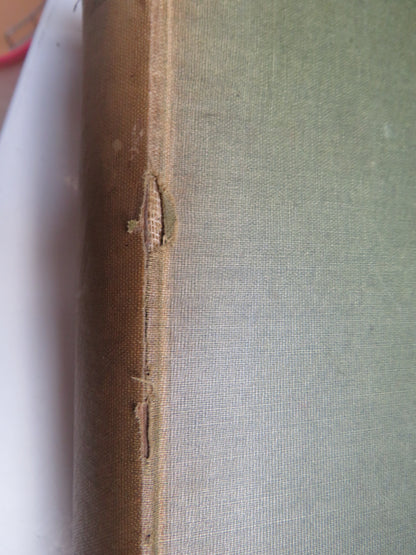 Natural History & Sport In Moray By Charles St. John 1882 Antique Book book image 7