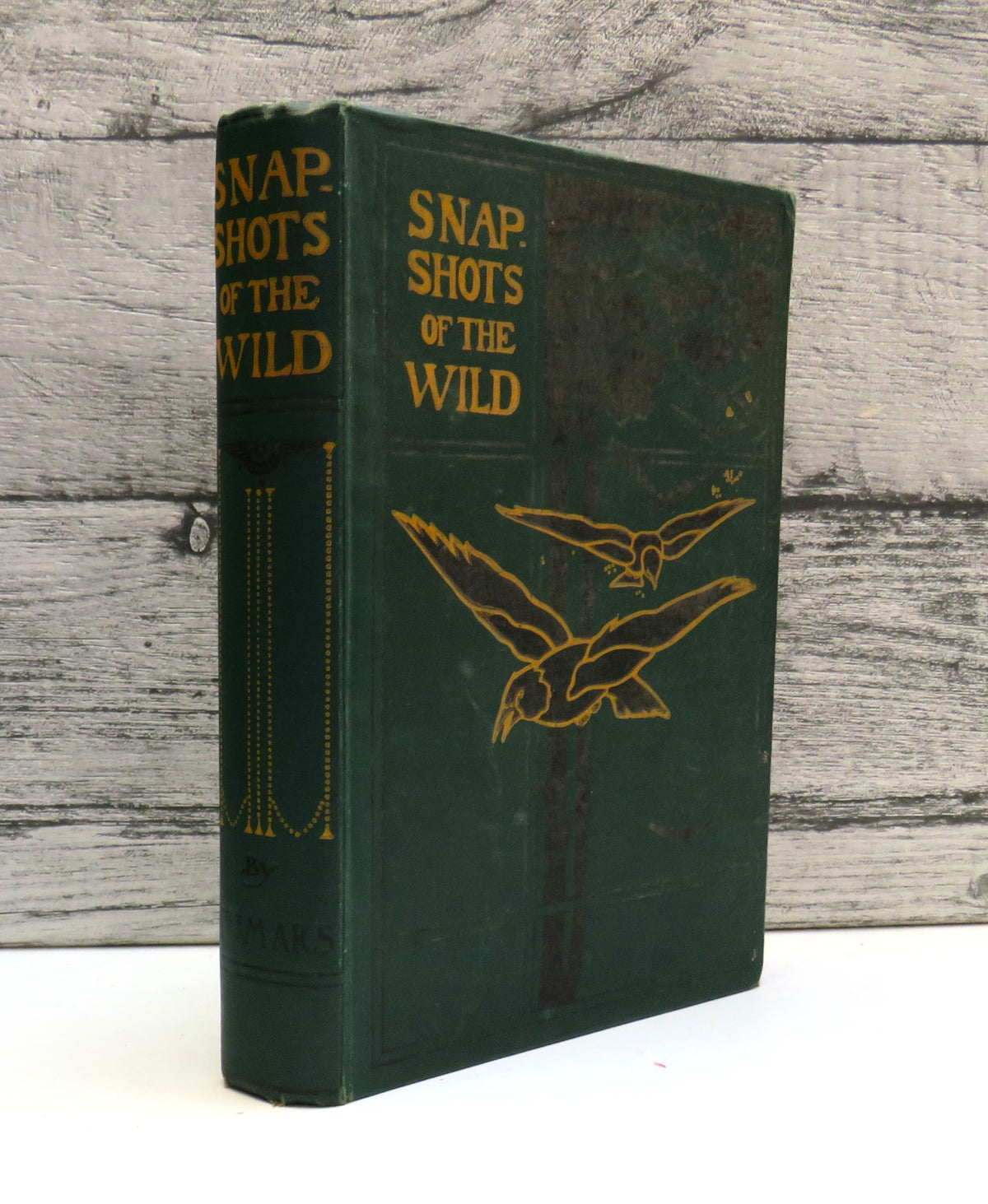 Snapshots of the Wild By F. St Mars 1919