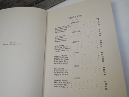 Snapshots of the Wild By F. St Mars 1919