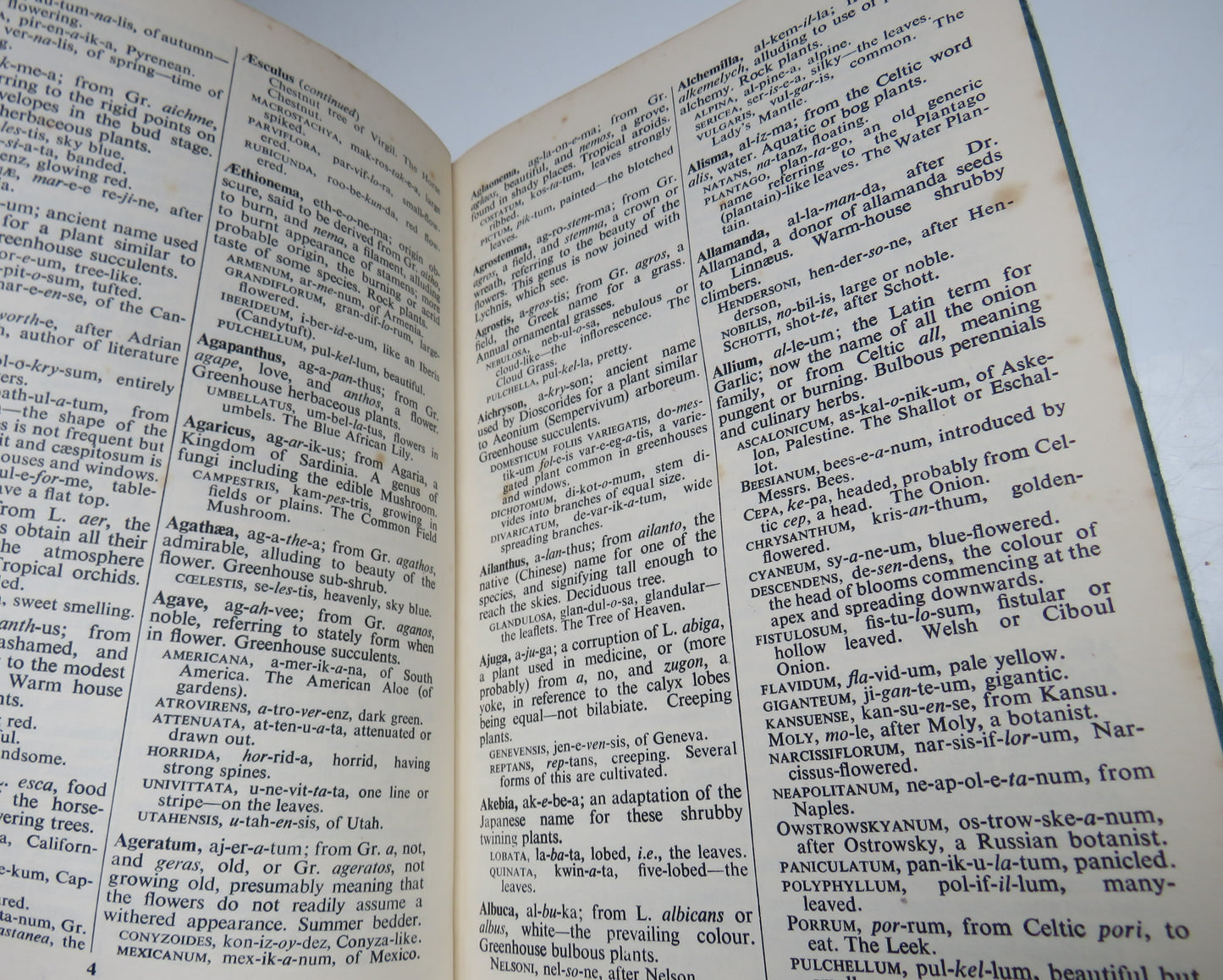 Plant Names Simplified, Their Pronunciation Derivation & Meaning by A. T. Johnson and H. A. Smith, 1947