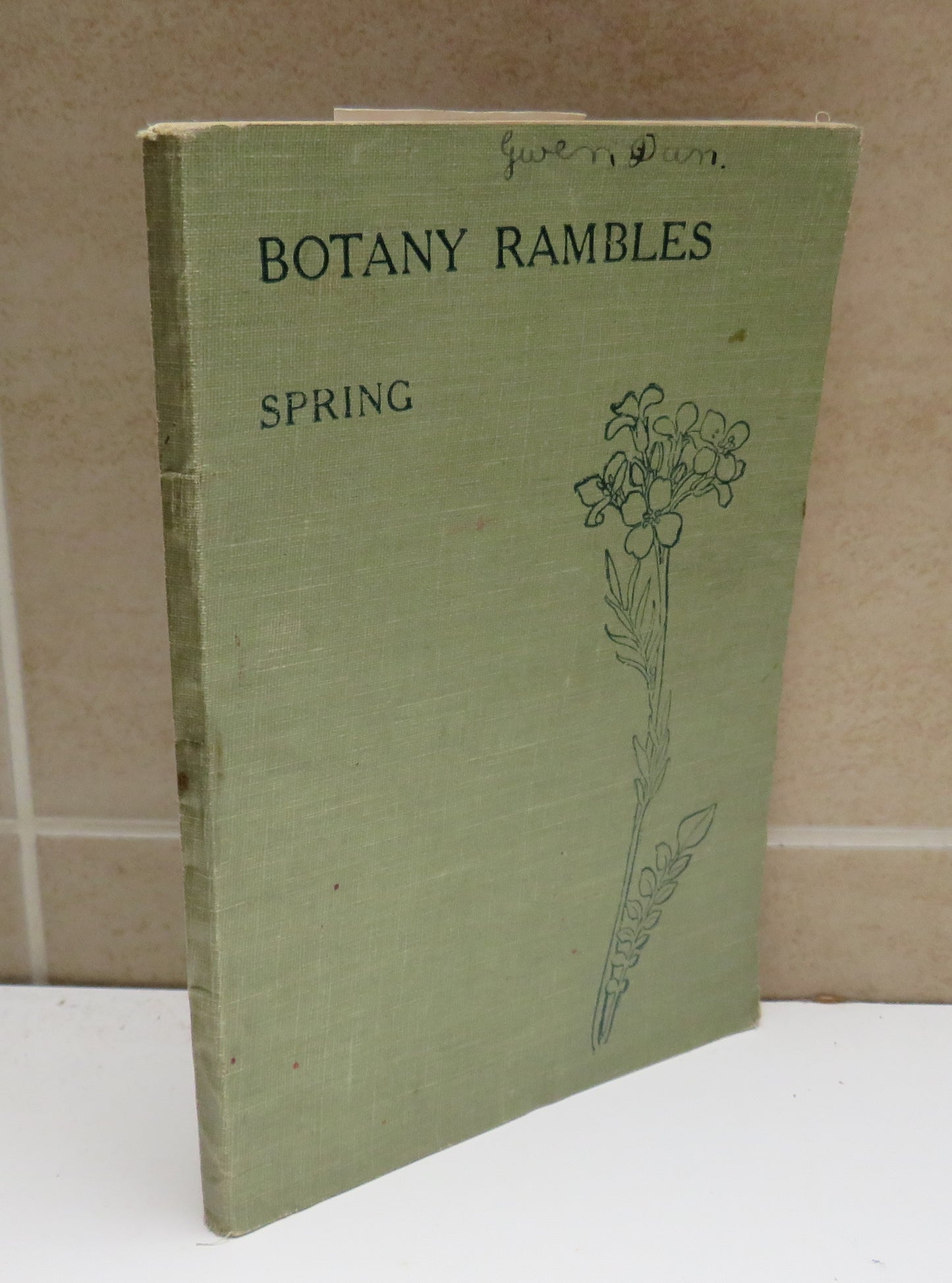 Botany Rambles, Part 1 In the Spring by Ella Thomson