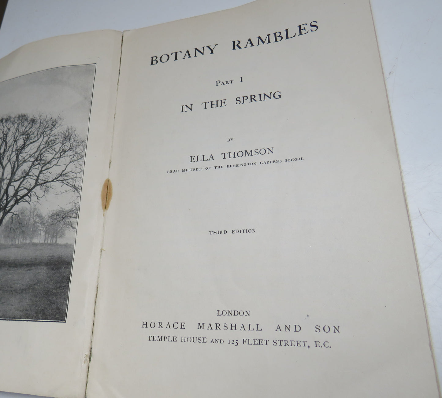 Botany Rambles, Part 1 In the Spring by Ella Thomson