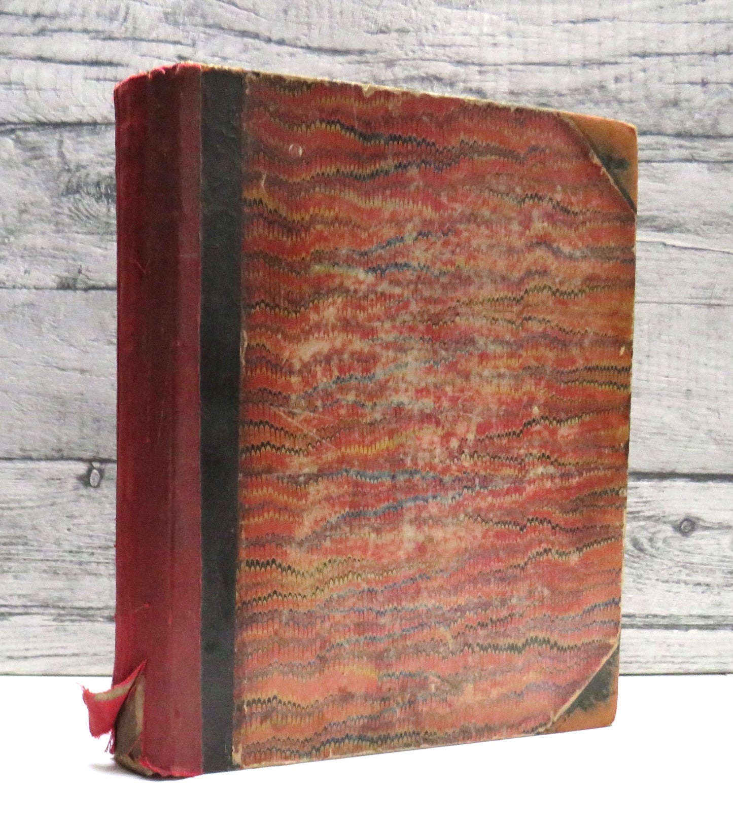 The Garden An Illustrated weekly Journal of Horticulture In All Its Branches Vol XXIV Christmas 1883