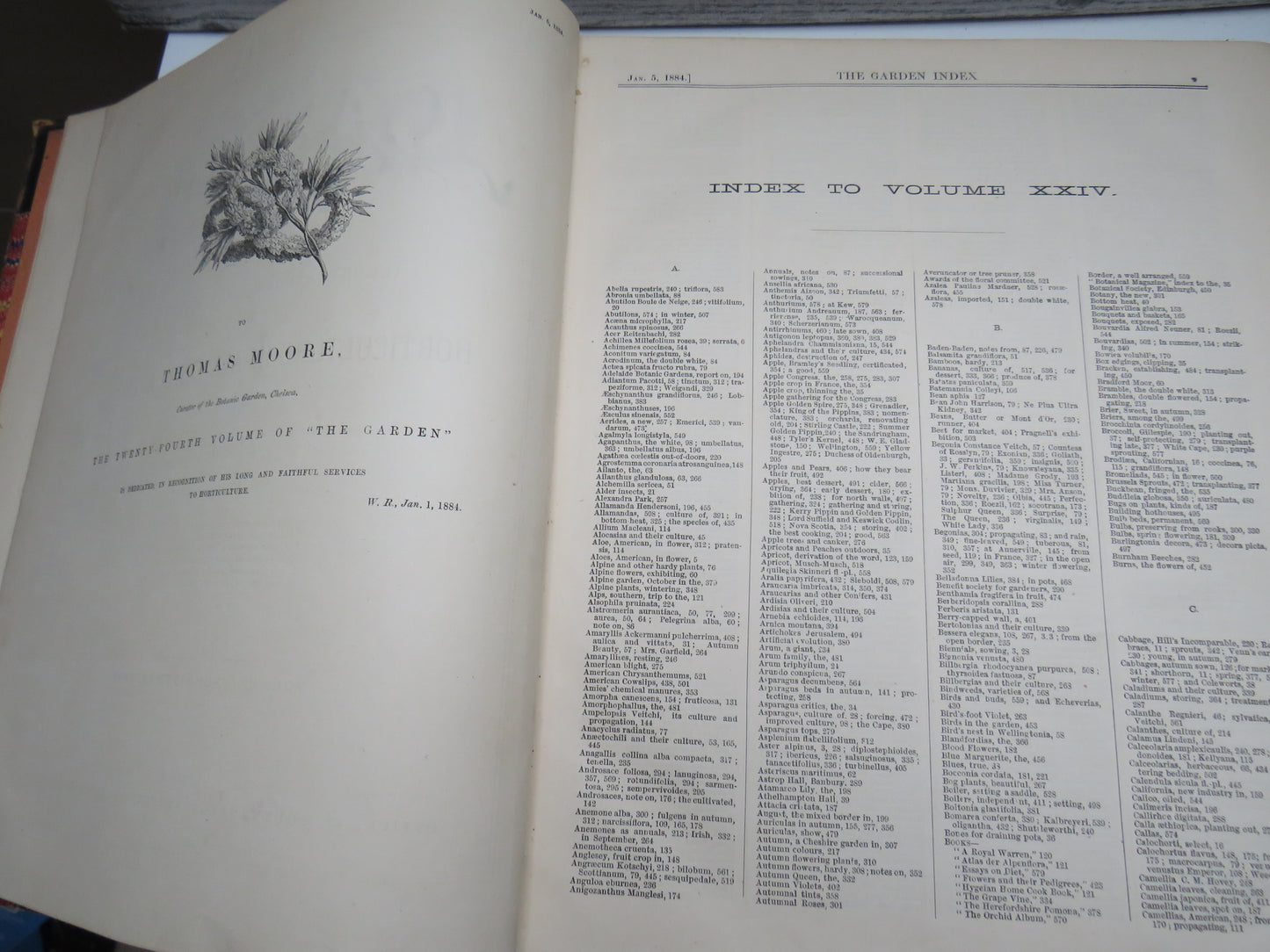 The Garden An Illustrated weekly Journal of Horticulture In All Its Branches Vol XXIV Christmas 1883