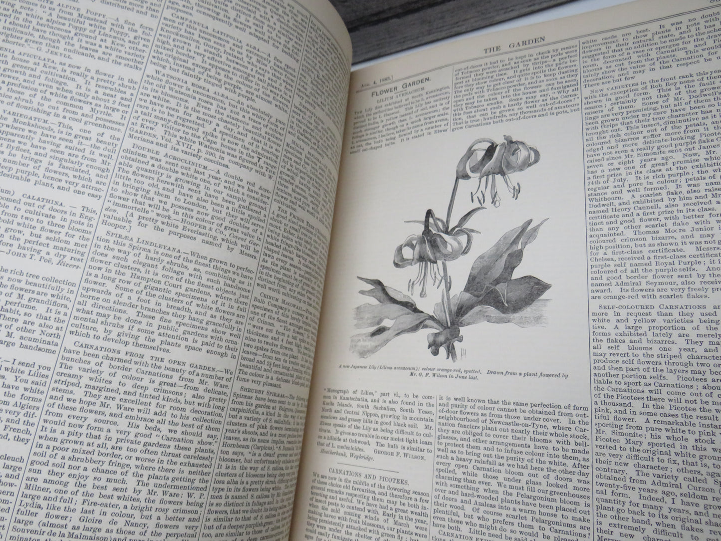 The Garden An Illustrated weekly Journal of Horticulture In All Its Branches Vol XXIV Christmas 1883