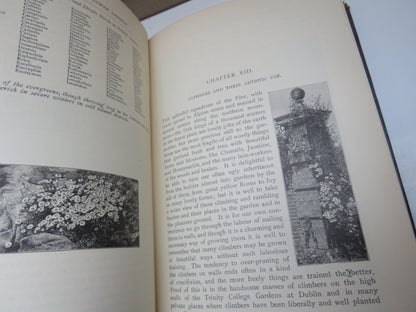 The English Flower Garden and Home Grounds of Hardy Trees and Flowers Only By W. Robinson With Engra book image 5