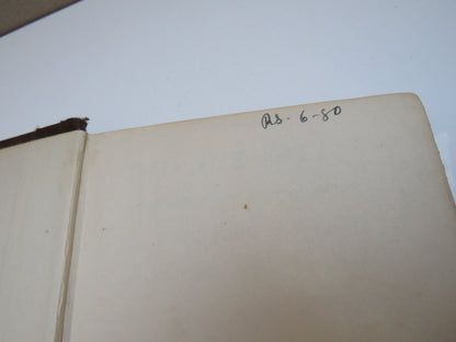 Did She Fall? By Thorne Smith 1930 book image 4