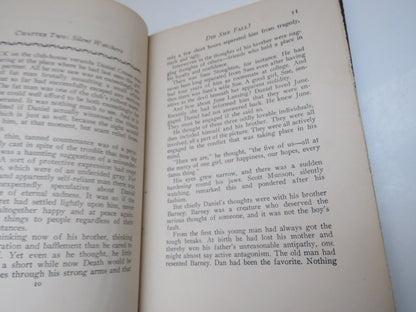 Did She Fall? By Thorne Smith 1930 book image 6