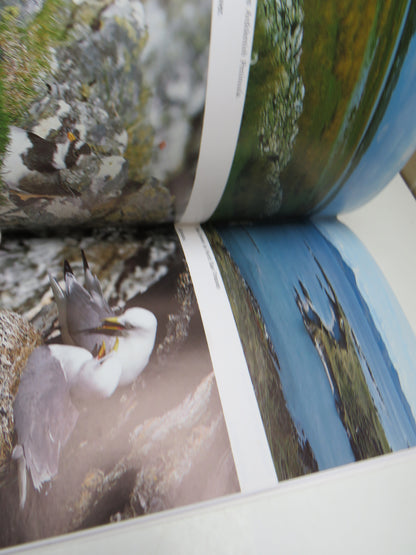 The Birds of Colonsay and Oransay By D.C. Jardine, J Clarke and P.M. Clarke book image 5