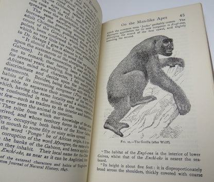 Man's Place In Nature and Other Essays By Thomas Henry Huxley 1933 book image 4