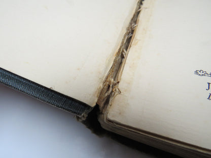 Sunset Song A Novel By Lewis Grassic Gibbon 1932 5th Impression Rare book image 5
