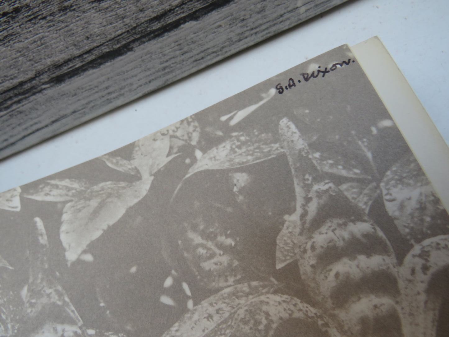 The Making of Classical Edinburgh 1750-1840 By A. J. Youngson 1970