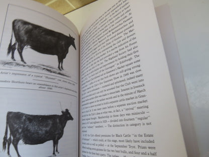Twixt Grey and Red Mountains by Dick Hillson, 1988 book image 5