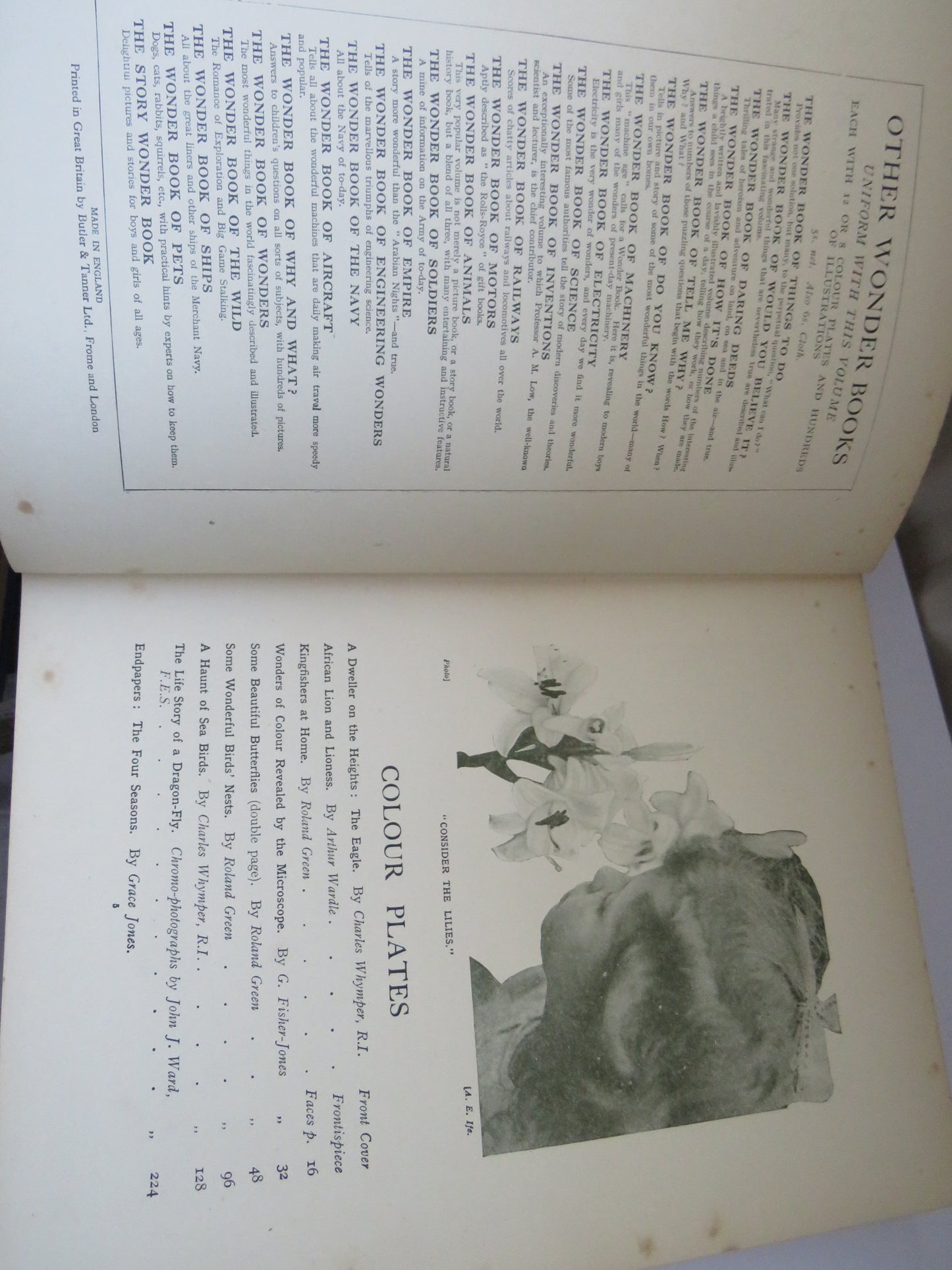 The Wonder Book of Nature For Boys and Girls With Eight Colour Plates and Nearly 350 Illustrations