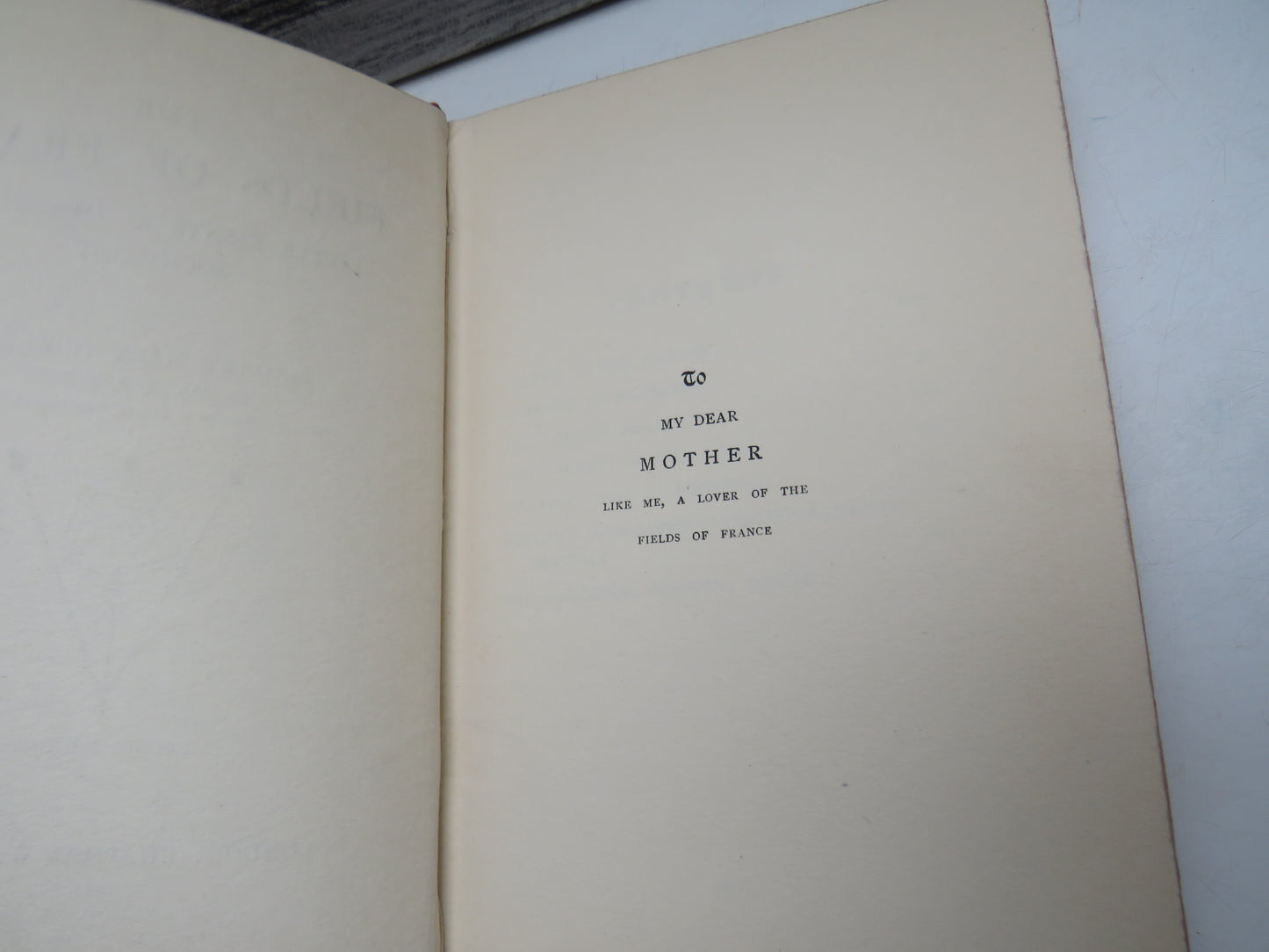 The Fields of France Little Essays In Descriptive Sociology By Madame Mary Duclaux 1904