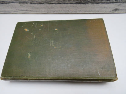 Within The Maze A Novel By Mrs Henry Wood 1906