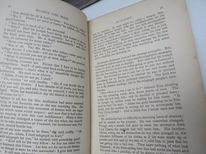 Within The Maze A Novel By Mrs Henry Wood 1906