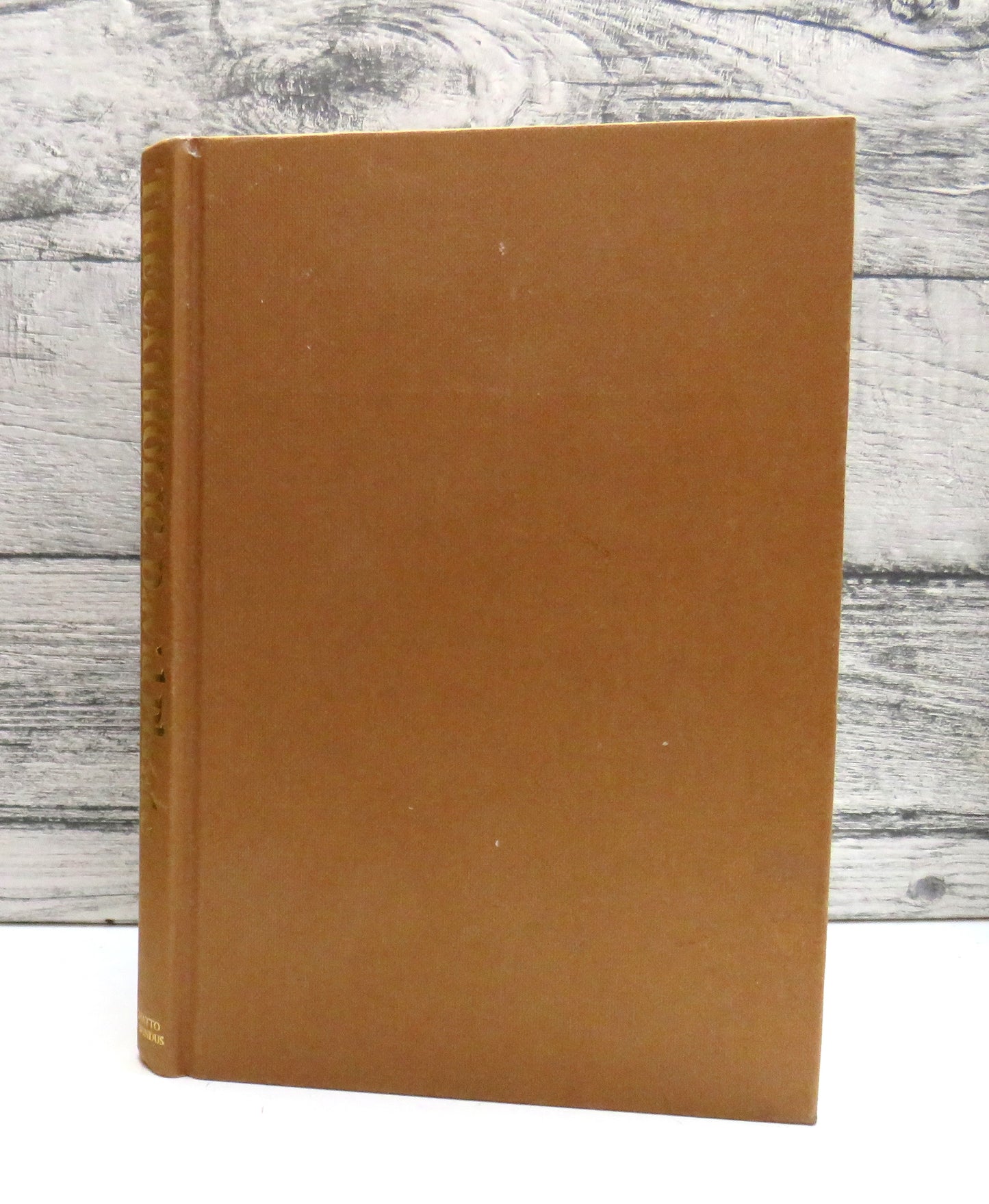 The Catholic By David Plante 1985