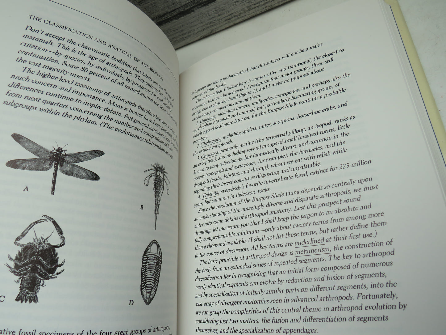 Wonderful Life The Burgess Shale and The Nature of History By Stephen Jay Gould 1990