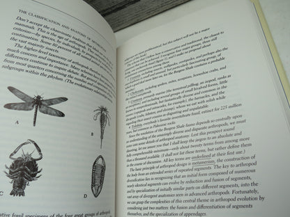 Wonderful Life The Burgess Shale and The Nature of History By Stephen Jay Gould 1990 book image 7