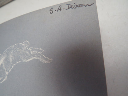 Seal Morning By Rowena Farre 1957 book image 3