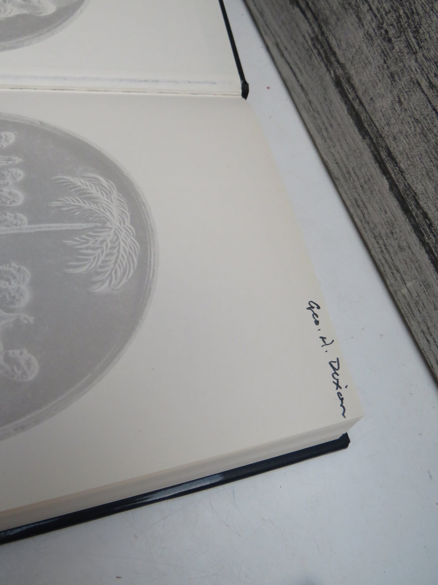 The Great Abolition Sham The True Story of the End of the British Slave Trade By Michael Jordan 2005