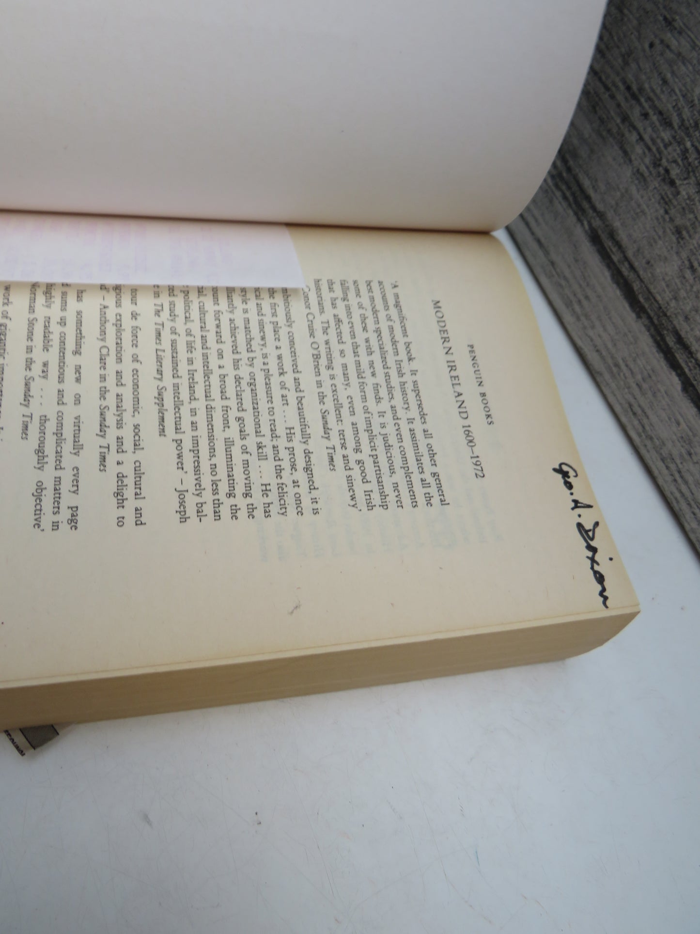 Modern Ireland 1600-1972 By R.F. Foster 1989