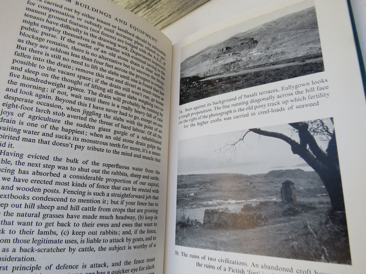 Farmer In The Western Isles By David Mackenzie 1954