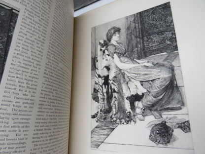 The Art Annuals Sir Eleighton P.R.A, Sir J.E. Millais R.A, L. Almatademara, J.L.E. Meissonier, J.G. Hook R.A., Rosa Bonheur, Birket Foster.