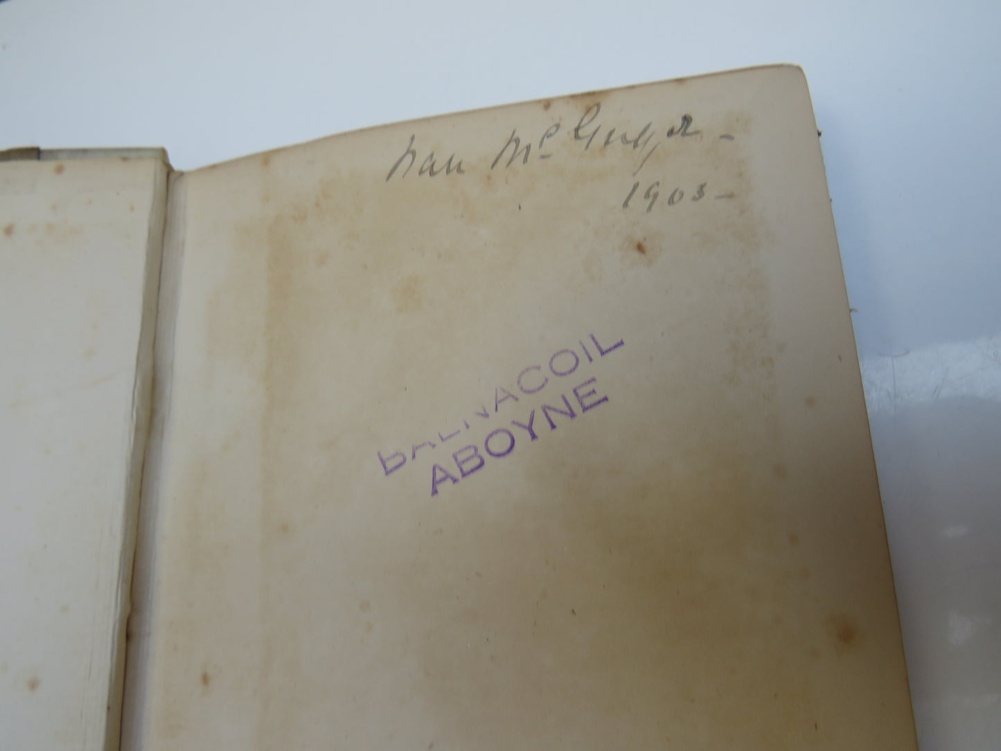A Digit of the Moon A Hindoo Love Story Translated From The Original MS By F.W. Bain 1901