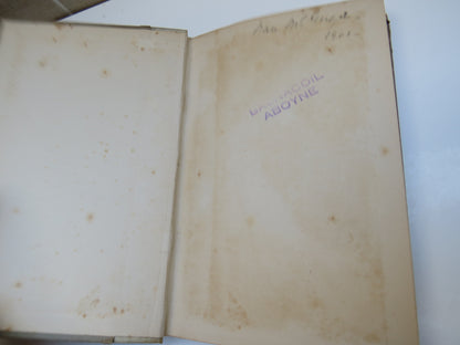 A Digit of the Moon A Hindoo Love Story Translated From The Original MS By F.W. Bain 1901 book image 4