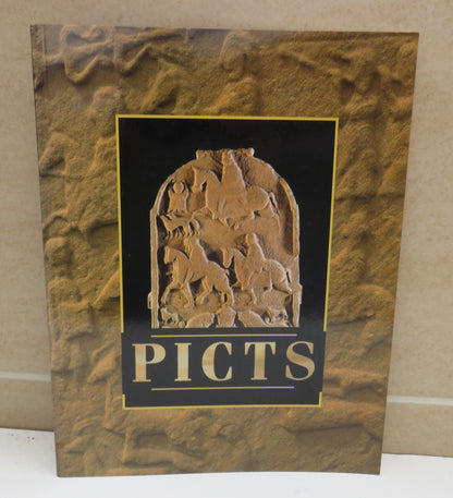Picts An Introduction to the Life of the Picts By Anna Ritchie 1995 book image 2