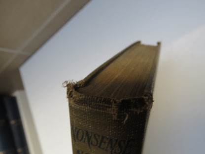 Nonsense Novels By Stephen Leacock 1920 book image 3