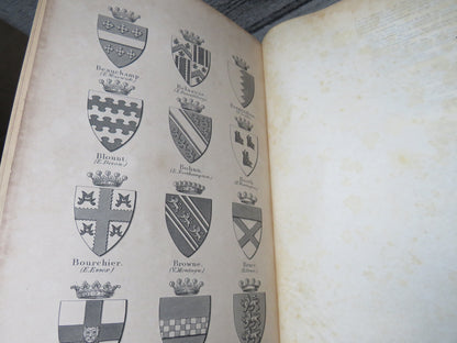 Genealogical History of the Dormant, Abeyant, Forteited, and Extinct Peerages of the British Empire  book image 8