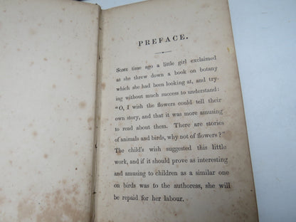 Eva and Her Playfellows A Book of Entertainment For The Young By C. M. Smith