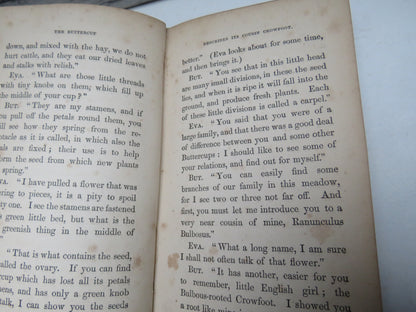 Eva and Her Playfellows A Book of Entertainment For The Young By C. M. Smith