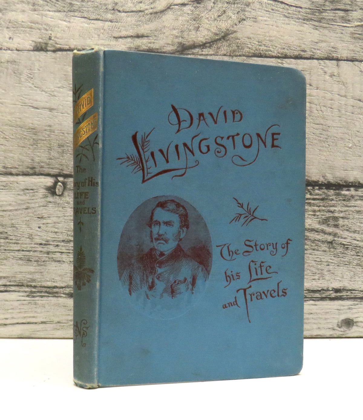 David Livingstone The Story of His Life and Travels With Numerous Illustrations 1896