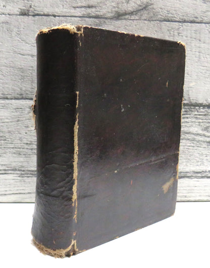 A Smaller English-Latin Dictionary By John Robson 1881 book front cover