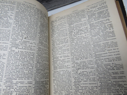A Smaller English-Latin Dictionary By John Robson 1881 book image 5