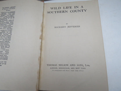 Wild Life In A Southern County By Richard Jefferies